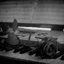 ���� �������, ����, 69 ��� - ��������� 17 ������ 2016 � ������ ������ ��������