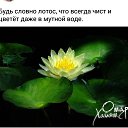 ���� �����, ������ - ��������� 10 ������� 2015 � ������ ������ ��������