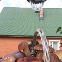 ���� ���������, ������ - ��������� 27 ������� 2015 � ������ �������