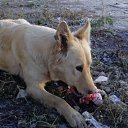 ���������...������� . �� ������� ���� ����������