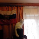 ���� ����, ������, 45 ��� - ��������� 10 ������ 2015 � ������ ���� ����������