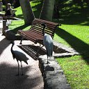 ���� �����, �����-���������, 59 ��� - ��������� 26 ������� 2015 � ������ ������ ��������