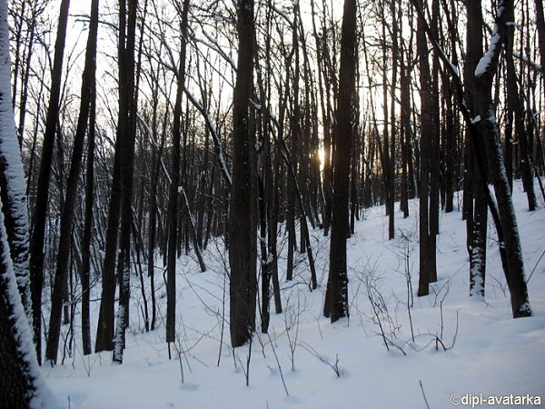 dipi-avatarka - 11  2016  17:17