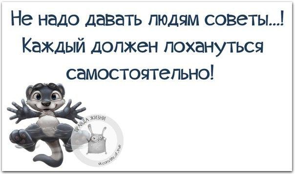   - 6  2016  19:15