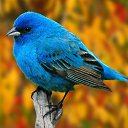  ••,  -  28  2015   