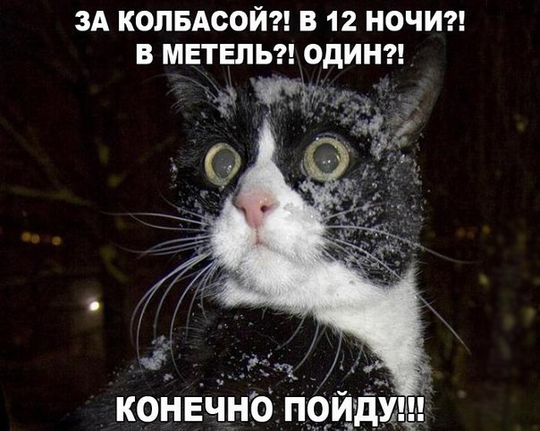   - 24  2015  00:30