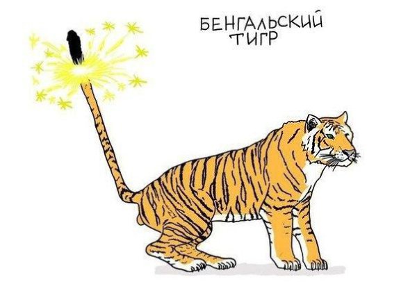 Wow - 24  2016  09:28