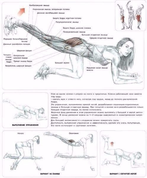     .#@fitness.blog