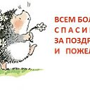 ���� ������, ������ - ��������� 8 ������� 2016 � ������ ������ ��������
