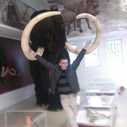 �������� �������, �������, 43 ����