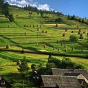 ���� ����, �������, 57 ��� - ��������� 10 ������� 2015 � ������ ������ ��������