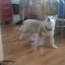 ���� �����, ������� - ��������� 23 ������ 2016 � ������ ������������ �������