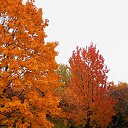 ���� �����, �����, 64 ���� - ��������� 9 ������ 2015 � ������ ��������� ����. 25.10.2015�