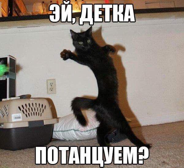   - 9  2016  21:51