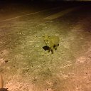 ���� K���������, ����������, 42 ���� - ��������� 8 ������� 2015 � ������ ���� ����������