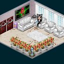  , , 29  -  23  2016   Tropikania