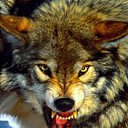 ���� ������, ������������, 32 ���� - ��������� 10 ������ 2016 � ������ �Xxx�