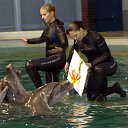  Valentina,  -  4  2015   