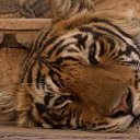 ���� �����, ������������, 44 ���� - ��������� 2 ������ 2016 � ������ �������