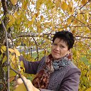 ���� �����, �����, 58 ��� - ��������� 7 ������ 2016 � ������ ���� ����������