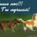 ���� ������, �������, 70 ��� - ��������� 4 ������ 2016 � ������ ������ ��������