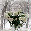 ���� Ani, ������ - ��������� 2 ������� 2015 � ������ ������...�