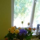 ���� �����, ����� - ��������� 13 ������� 2015 � ������ ������ ��������