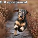 ���� ���������, ����������� - ��������� 22 ������� 2016 � ������ ���� ����������
