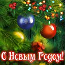 ���� �������, ������, 54 ���� - ��������� 1 ������� 2015 � ������ �������� ��������