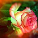 ���� ������, �����, 60 ��� - ��������� 5 ������ 2015 � ������ ������ ��������