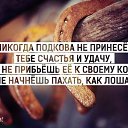 ���� ��������, �����������, 44 ���� - ��������� 2 ������ 2015 � ������ ������ ��������