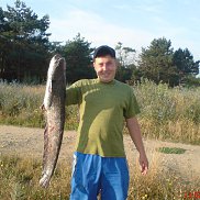 , 43 , 