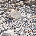 ���� �������, �������� - ��������� 27 ������� 2016 � ������ ������� ������