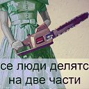 ���� �����, �����-���������, 29 ��� - ��������� 29 ������ 2015