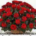 ���� �����, ������� - ��������� 9 ����� 2016 � ������ ������ ��������