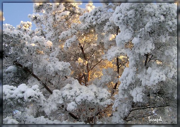     ...      - ...   ...