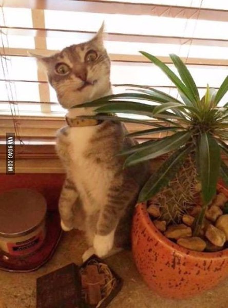   .#animal@travel.blog - 5