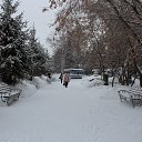  , , 69  -  7  2016     .   