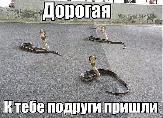  - 2  2015  16:55