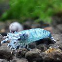 ���� ������, ������, 59 ��� - ��������� 25 ������ 2015 � ������ ���� ����������