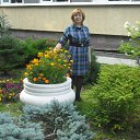 ���� ����, ������������ - ��������� 6 ������ 2016 � ������ ���� ����������