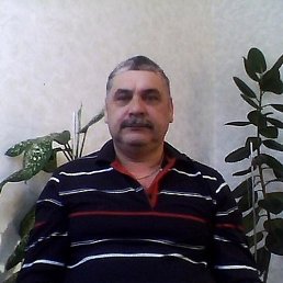 , 65,  
