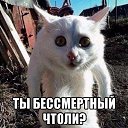 ���� ����, ������, 54 ���� - ��������� 22 ������� 2016 � ������ �������������