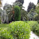  , , 59  -  1  2015     ޻