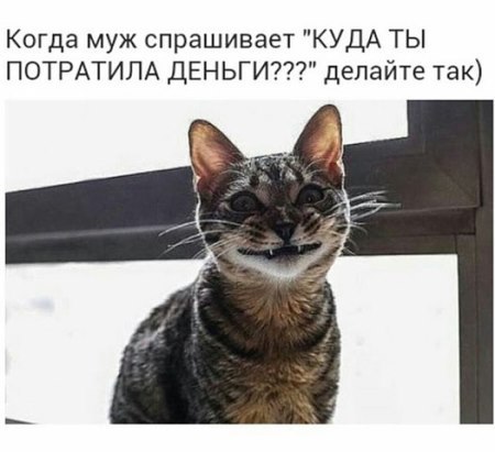   - 18  2015  20:41