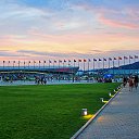 -Adler Arena- Sochi Olympic Park     ...)