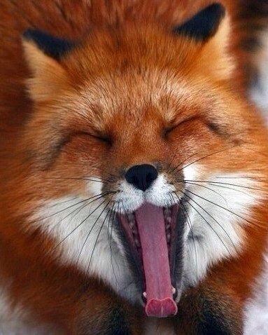   - 23  2016  02:59 - 3