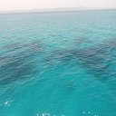  , -, 42  -  2  2015   , 2015 ()