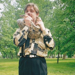 ���� �������, �����-��������� - ��������� 15 ������� 2016