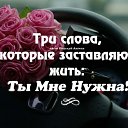 ���� ����, ���� - ��������� 2 ������ 2016 � ������ ������ ��������